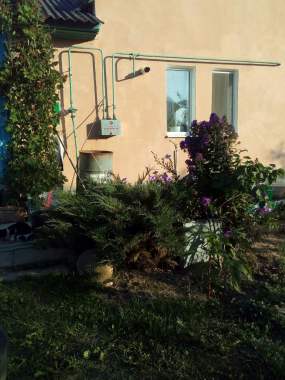 Продается дом, 40 км.от г.Могилева 3