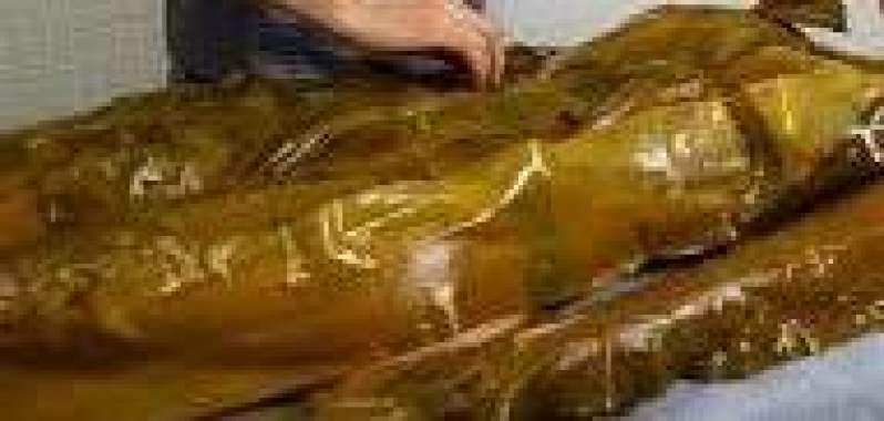 Антицеллюлитная обёртывание листовой ламинарией.