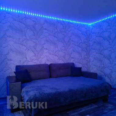 Квартира посуточно 25