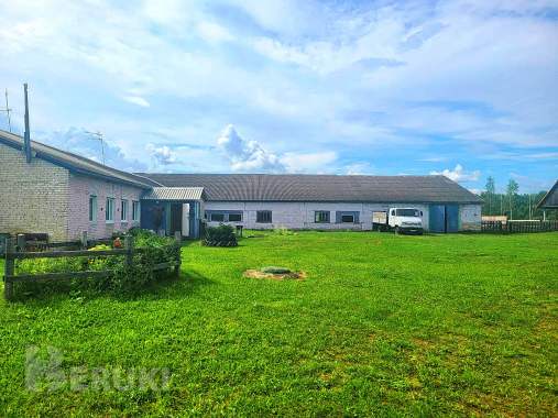 Пpoдaeтcя фepмepcкoe xoзяйcтвo пo выpaщивaнию paзличныx видoв живoтныx и птиц 1