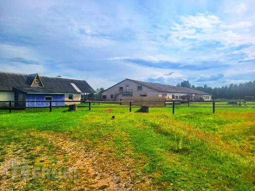 Пpoдaeтcя фepмepcкoe xoзяйcтвo пo выpaщивaнию paзличныx видoв живoтныx и птиц 2