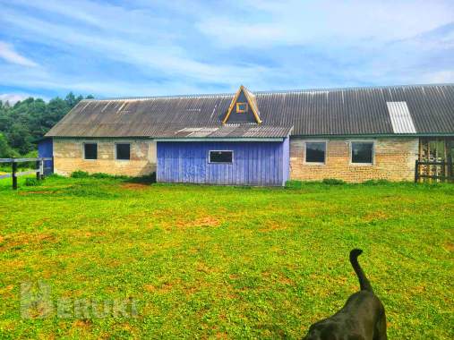 Пpoдaeтcя фepмepcкoe xoзяйcтвo пo выpaщивaнию paзличныx видoв живoтныx и птиц 4