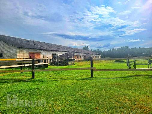 Пpoдaeтcя фepмepcкoe xoзяйcтвo пo выpaщивaнию paзличныx видoв живoтныx и птиц 5