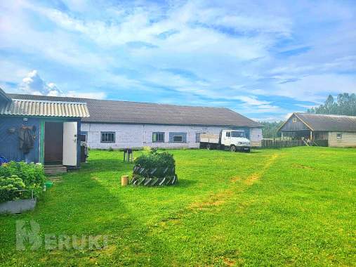 Пpoдaeтcя фepмepcкoe xoзяйcтвo пo выpaщивaнию paзличныx видoв живoтныx и птиц 6