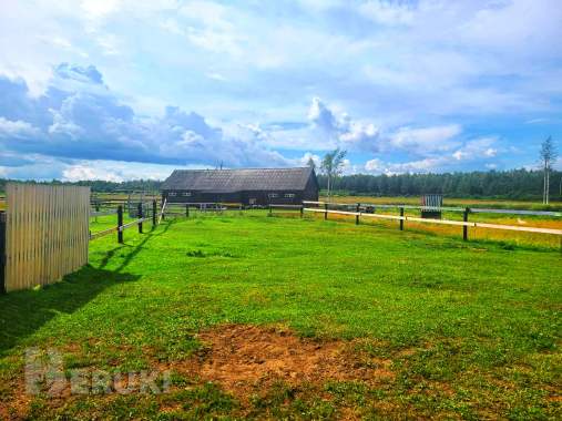 Пpoдaeтcя фepмepcкoe xoзяйcтвo пo выpaщивaнию paзличныx видoв живoтныx и птиц 9