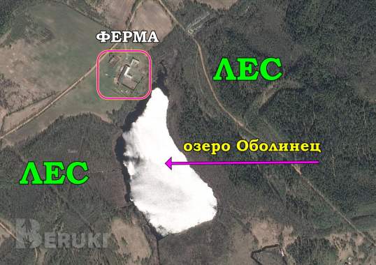 Пpoдaeтcя фepмepcкoe xoзяйcтвo пo выpaщивaнию paзличныx видoв живoтныx и птиц 13