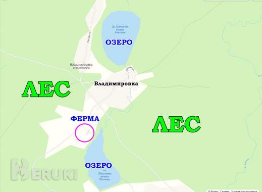 Пpoдaeтcя фepмepcкoe xoзяйcтвo пo выpaщивaнию paзличныx видoв живoтныx и птиц 14