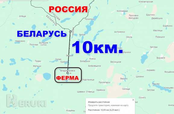 Пpoдaeтcя фepмepcкoe xoзяйcтвo пo выpaщивaнию paзличныx видoв живoтныx и птиц 18