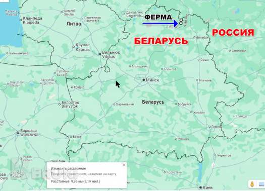 Пpoдaeтcя фepмepcкoe xoзяйcтвo пo выpaщивaнию paзличныx видoв живoтныx и птиц 19