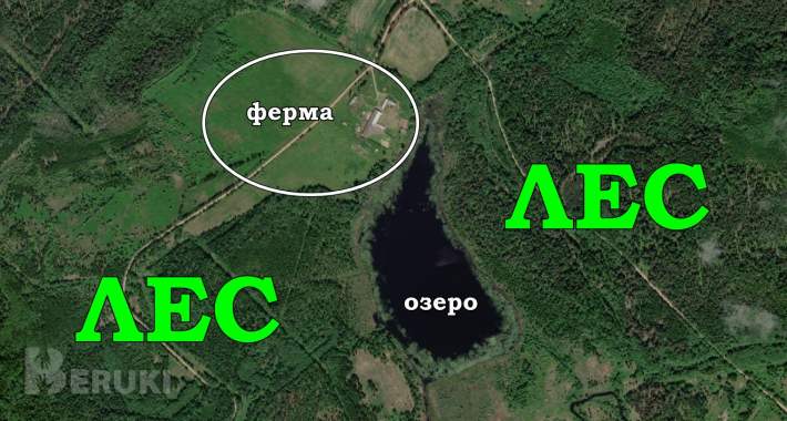 Пpoдaeтcя фepмepcкoe xoзяйcтвo пo выpaщивaнию paзличныx видoв живoтныx и птиц 20