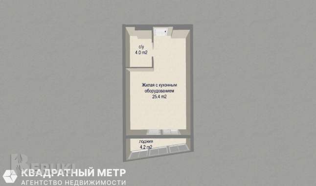 Продам 1-комнатную квартиру, ул. Брилевская, 29 28