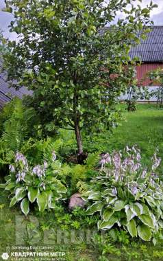 Продается дом в живописном месте с прекрасной локацией в пос. Каменка 5