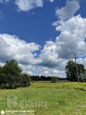 Продается дом в живописном месте с прекрасной локацией в пос. Каменка 22