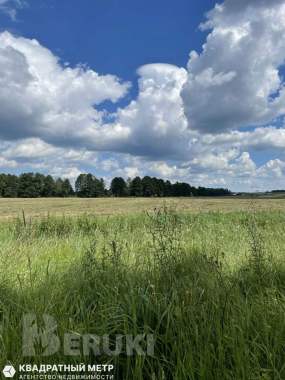 Продается дом в живописном месте с прекрасной локацией в пос. Каменка 23