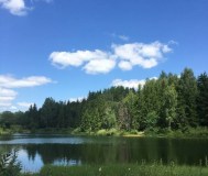 Купить участок, д. Касиловичи