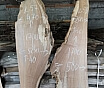 Слэбы из дуба, бука, ясеня, тополя, вербы, карагача.