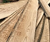 Доска ясеня обрезная, не обрезная, сухая, сырая.