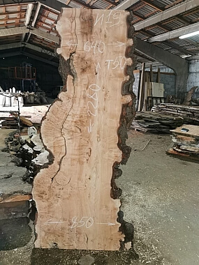 Слэбы из дуба, бука, ясеня, тополя, вербы, карагача. 0