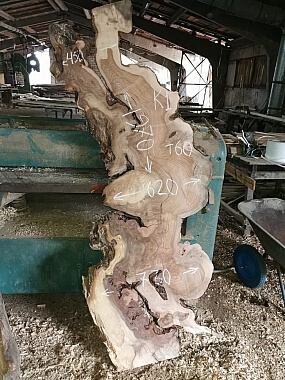 Слэбы из дуба, бука, ясеня, тополя, вербы, карагача. 3
