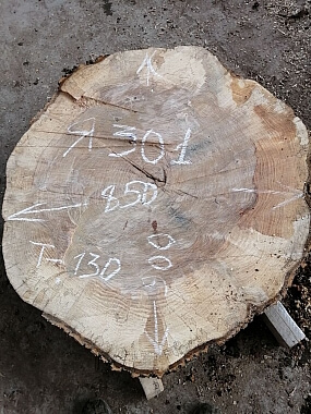 Слэбы из дуба, бука, ясеня, тополя, вербы, карагача. 13