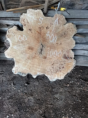 Слэбы из дуба, бука, ясеня, тополя, вербы, карагача. 15