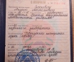 Устный переводчик Андрей Ясюкевич