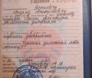 Устный переводчик Андрей Ясюкевич