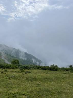 Сопровождение и экскурсии по Грузии 1