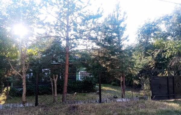 Продаётся уютный дом в Витебске 8