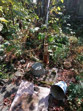 Недвижимость 3