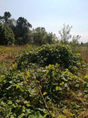 Недвижимость 6