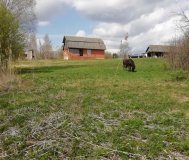 Срочно продам дом в связи с переездом