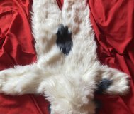 Костюм собаки детский