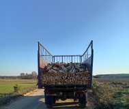 Продам дрова хвойных и лиственных пород.
