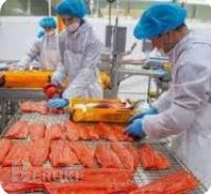 Обработчик/фасовщик рыбы (с проживанием)