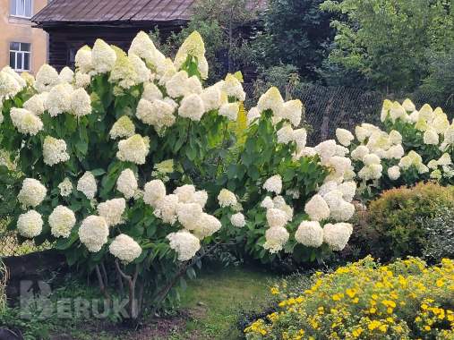 Продажа дома 6