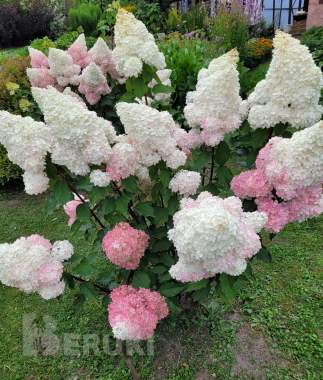 Продажа дома 7