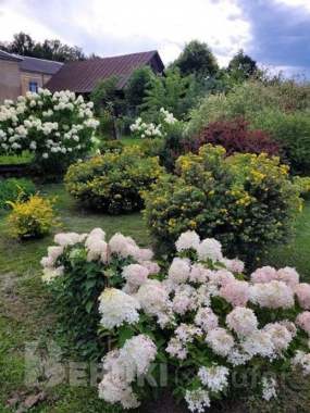 Продажа дома 9