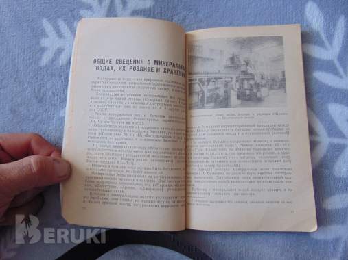 Минеральные воды ссср разливаемые в бутылки. П. Л яновскаий, 1968 год, издание 4 4