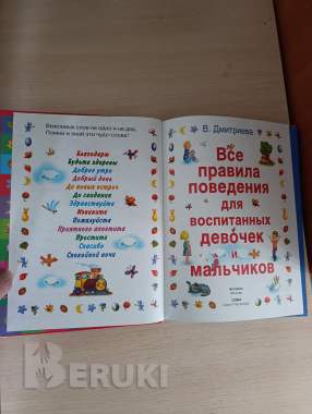 Книга. Правила поведения мальчиков и девочек. 2