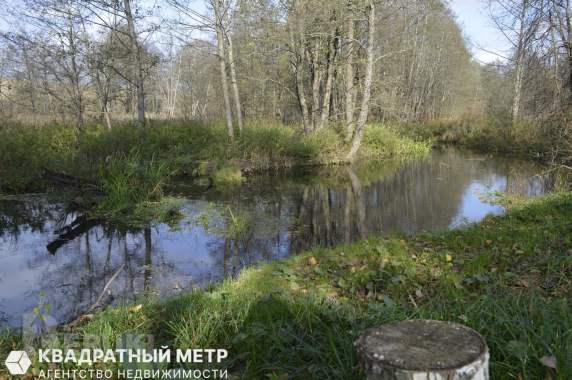 Дом в 20 км от минска на берегу реки птичь 1