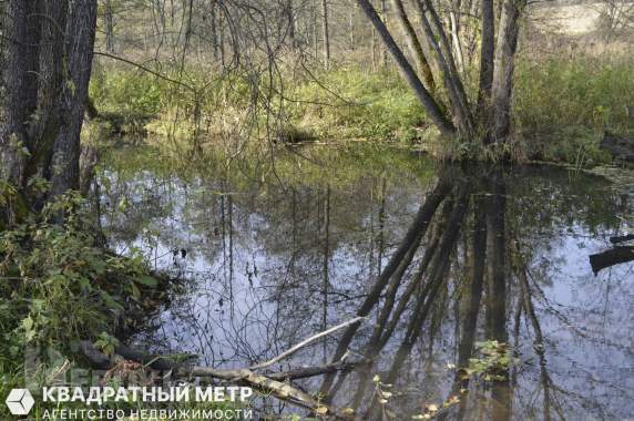 Дом в 20 км от минска на берегу реки птичь 3