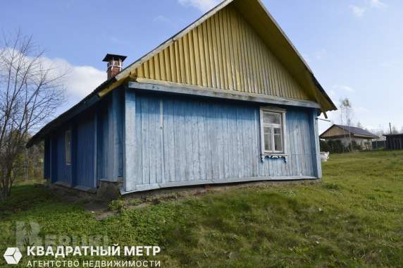 Дом в 20 км от минска на берегу реки птичь 5