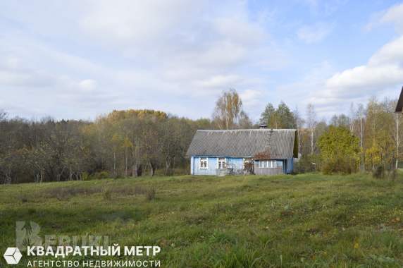 Дом в 20 км от минска на берегу реки птичь 7