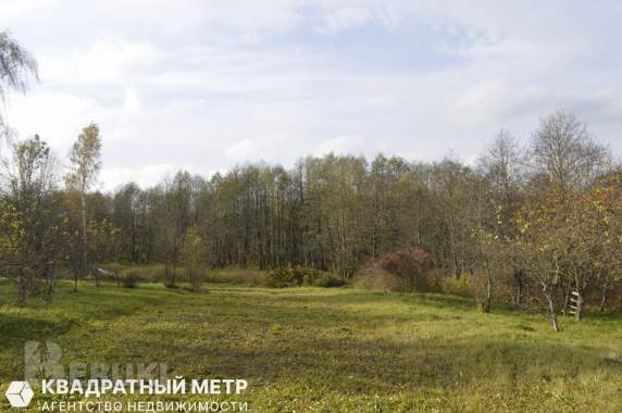 Дом в 20 км от минска на берегу реки птичь 17