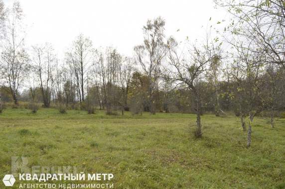 Дом в 20 км от минска на берегу реки птичь 18