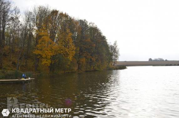 Дом в 20 км от минска на берегу реки птичь 20
