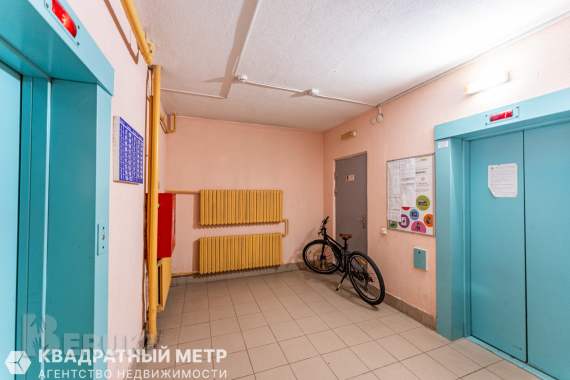 Трехкомнатная квартира 33