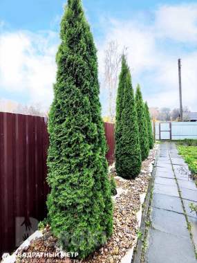 Дом вблизи водохранилища «вяча» (220. 8м2, 17. 4 соток) 2