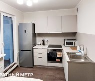 Продам 1-комнатную квартиру, д. Копище